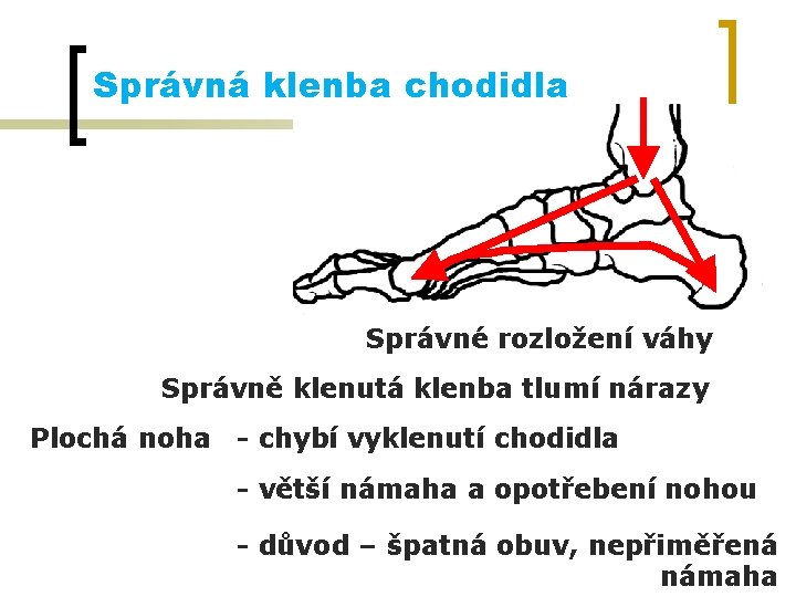 Správná klenba chodidla Správné rozložení váhy Správně klenutá klenba tlumí nárazy Plochá noha -