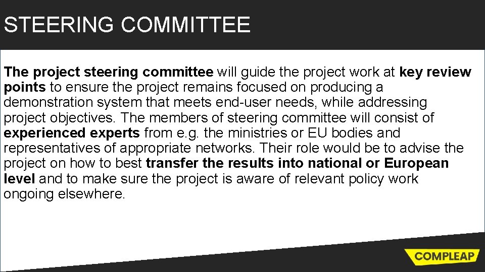 STEERING COMMITTEE The project steering committee will guide the project work at key review