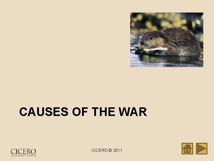 CAUSES OF THE WAR CICERO © 2011 