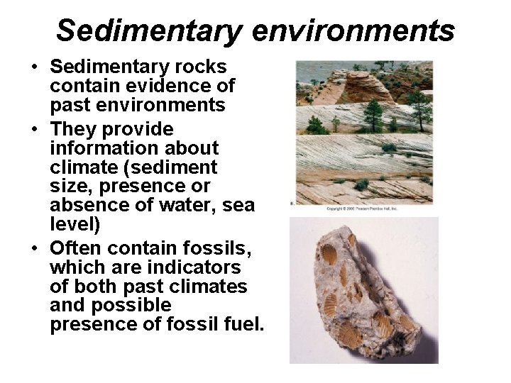Sedimentary environments • Sedimentary rocks contain evidence of past environments • They provide information