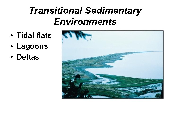 Transitional Sedimentary Environments • Tidal flats • Lagoons • Deltas 