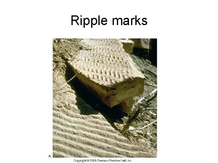 Ripple marks 