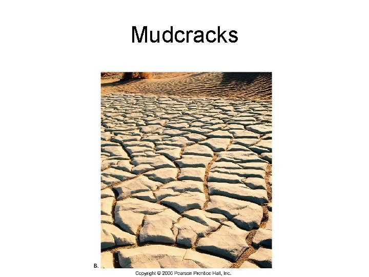 Mudcracks 