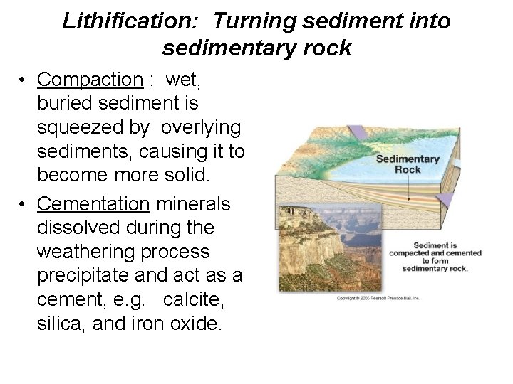 Lithification: Turning sediment into sedimentary rock • Compaction : wet, buried sediment is squeezed