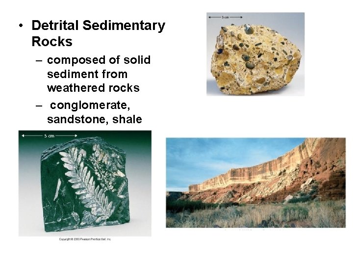  • Detrital Sedimentary Rocks – composed of solid sediment from weathered rocks –