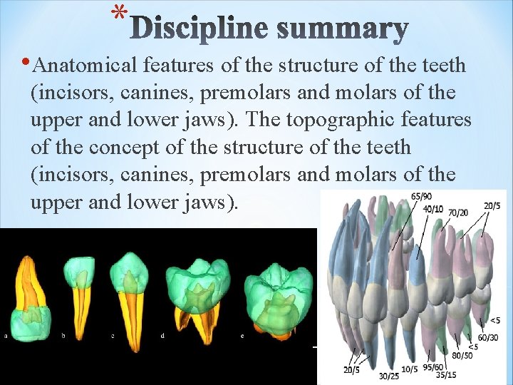 * • Anatomical features of the structure of the teeth (incisors, canines, premolars and