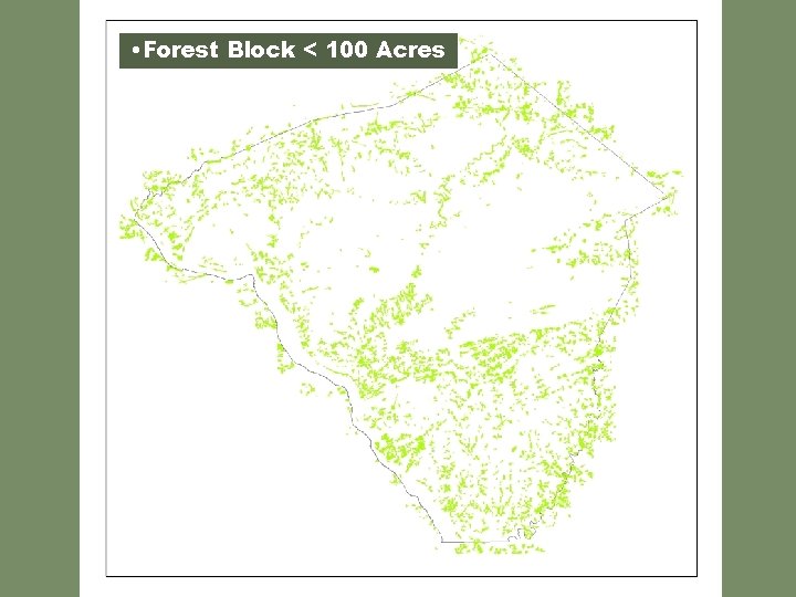  • Forest Block < 100 Acres 