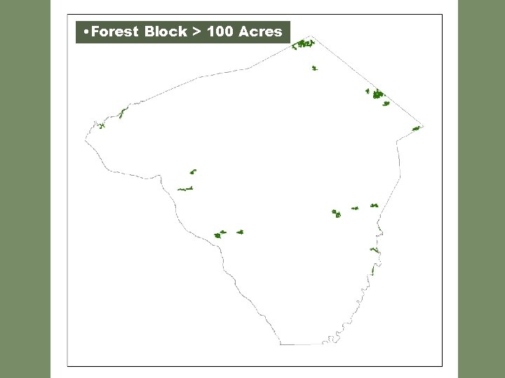  • Forest Block > 100 Acres 