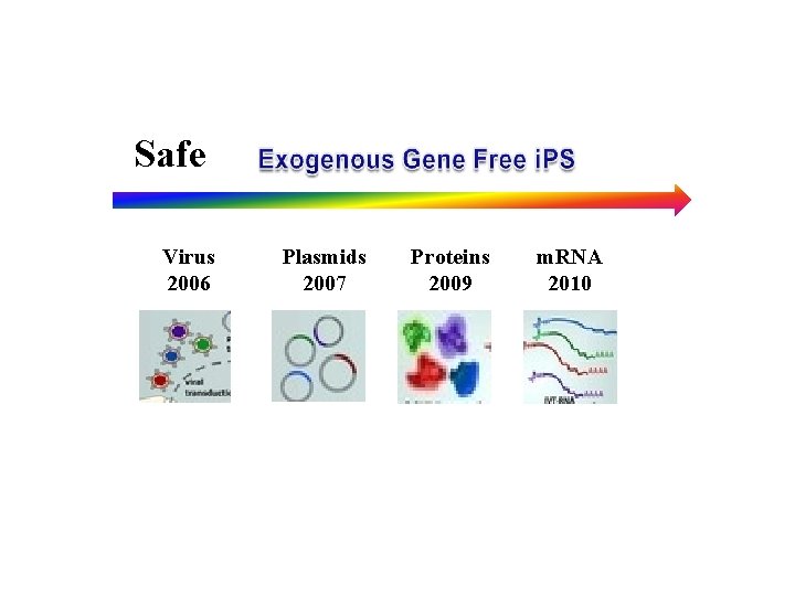 Safe Virus 2006 Plasmids 2007 Proteins 2009 m. RNA 2010 