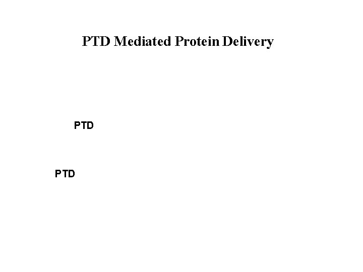 PTD Mediated Protein Delivery PTD 