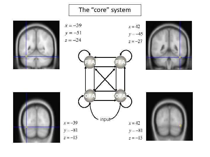 The “core” system FFA OFA input 