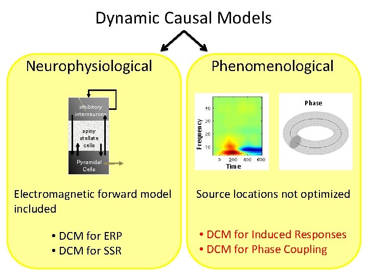 Dynamic Causal Models Neurophysiological Phenomenological Phase spiny stellate cells Pyramidal Cells Electromagnetic forward model