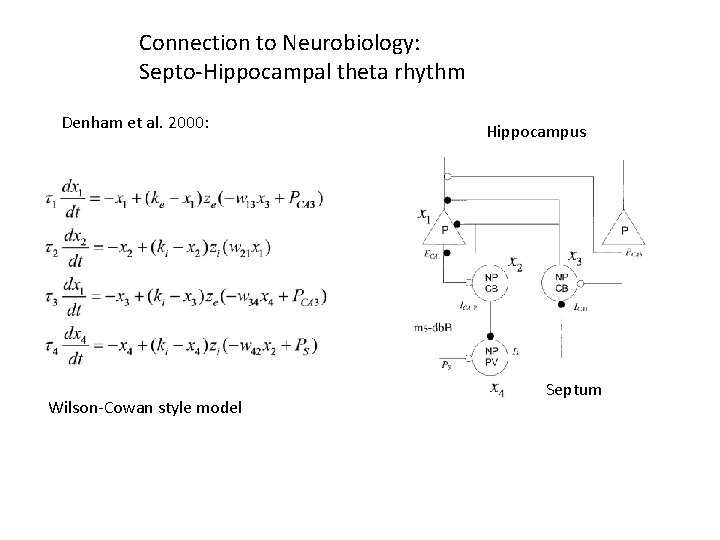 Connection to Neurobiology: Septo-Hippocampal theta rhythm Denham et al. 2000: Wilson-Cowan style model Hippocampus