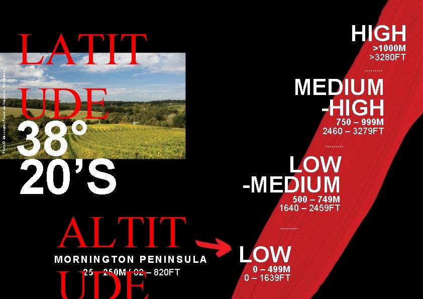 Photo © Mornington Peninsula Vignerons Association HIGH LATIT UDE 38° 20’S ALTIT MORNINGTON PENINSULA Photo © Mornington Peninsula Vignerons Association HIGH LATIT UDE 38° 20’S ALTIT MORNINGTON PENINSULA