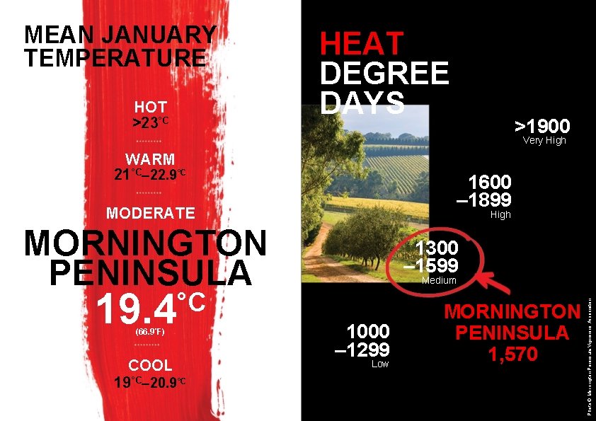 MEAN JANUARY TEMPERATURE HOT >23°C HEAT DEGREE DAYS >1900 Very High WARM 21°C– 22. MEAN JANUARY TEMPERATURE HOT >23°C HEAT DEGREE DAYS >1900 Very High WARM 21°C– 22.