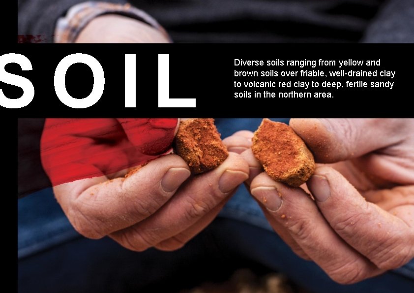 SOIL Diverse soils ranging from yellow and brown soils over friable, well-drained clay to SOIL Diverse soils ranging from yellow and brown soils over friable, well-drained clay to