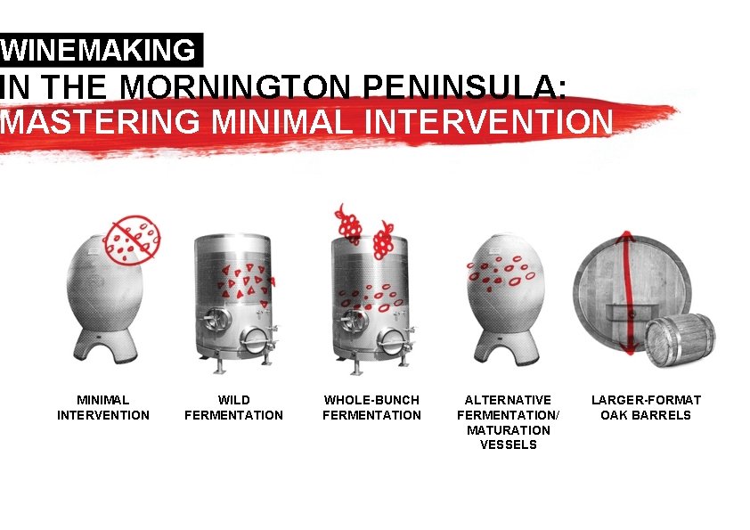 WINEMAKING IN THE MORNINGTON PENINSULA: MASTERING MINIMAL INTERVENTION WILD FERMENTATION WHOLE-BUNCH FERMENTATION ALTERNATIVE FERMENTATION/ WINEMAKING IN THE MORNINGTON PENINSULA: MASTERING MINIMAL INTERVENTION WILD FERMENTATION WHOLE-BUNCH FERMENTATION ALTERNATIVE FERMENTATION/