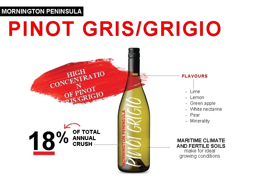 MORNINGTON PENINSULA PINOT GRIS/GRIGIO HIGHRATIO T N E C CON N OT N I MORNINGTON PENINSULA PINOT GRIS/GRIGIO HIGHRATIO T N E C CON N OT N I