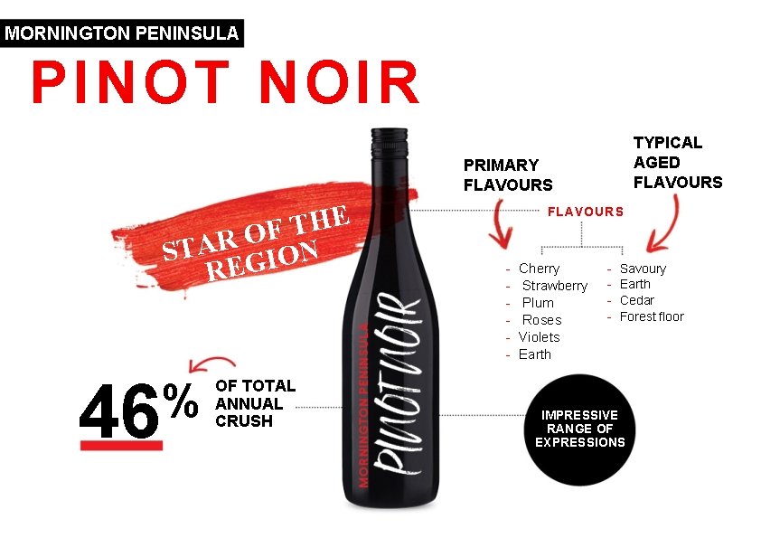 MORNINGTON PENINSULA PINOT NOIR TYPICAL AGED FLAVOURS PRIMARY FLAVOURS E H T F O MORNINGTON PENINSULA PINOT NOIR TYPICAL AGED FLAVOURS PRIMARY FLAVOURS E H T F O