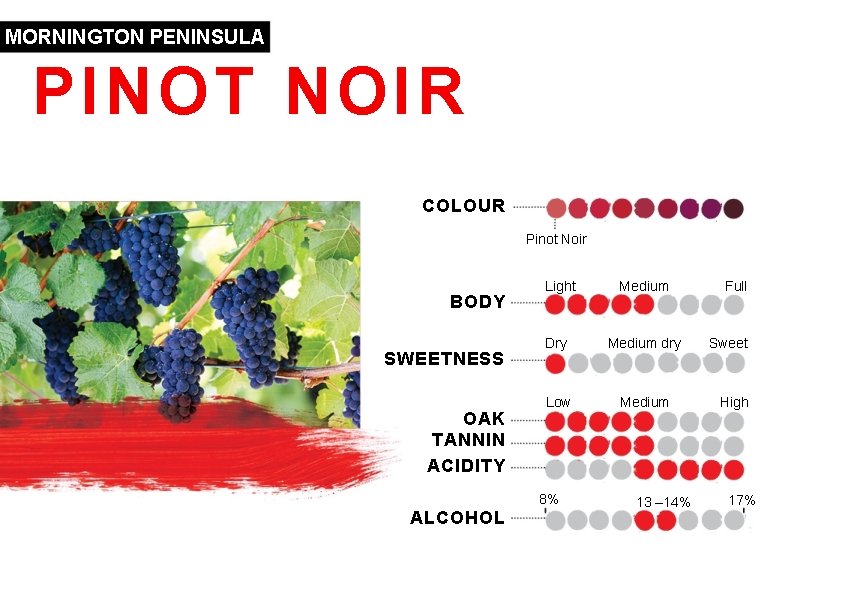 MORNINGTON PENINSULA PINOT NOIR COLOUR Pinot Noir BODY SWEETNESS OAK TANNIN ACIDITY Light Dry MORNINGTON PENINSULA PINOT NOIR COLOUR Pinot Noir BODY SWEETNESS OAK TANNIN ACIDITY Light Dry