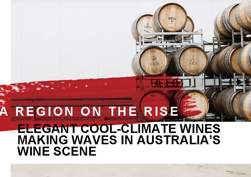 A REGION ON THE RISE ELEGANT COOL-CLIMATE WINES MAKING WAVES IN AUSTRALIA’S WINE SCENE A REGION ON THE RISE ELEGANT COOL-CLIMATE WINES MAKING WAVES IN AUSTRALIA’S WINE SCENE