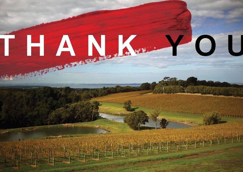 THANK YOU THANK YOU