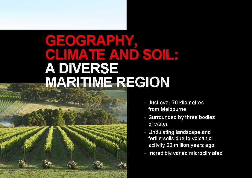 GEOGRAPHY, CLIMATE AND SOIL: A DIVERSE MARITIME REGION - Just over 70 kilometres from GEOGRAPHY, CLIMATE AND SOIL: A DIVERSE MARITIME REGION - Just over 70 kilometres from