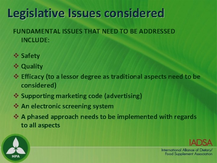 Legislative Issues considered FUNDAMENTAL ISSUES THAT NEED TO BE ADDRESSED INCLUDE: v Safety v