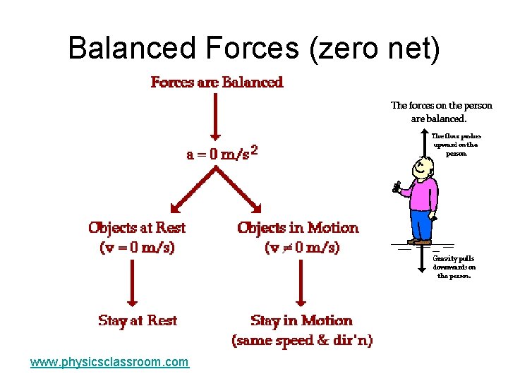 Balanced Forces (zero net) www. physicsclassroom. com 