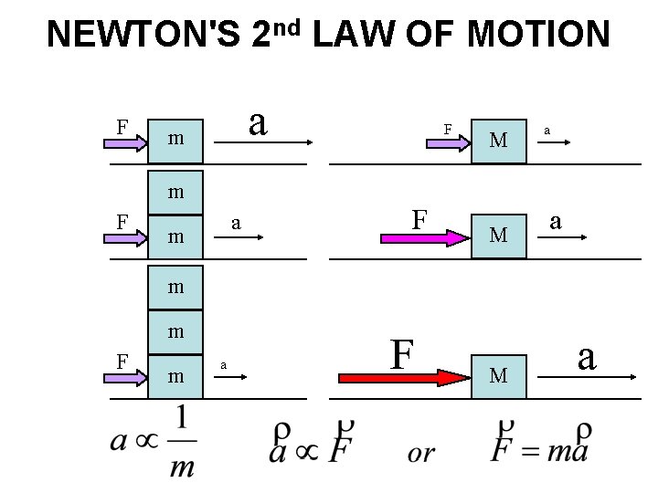 NEWTON'S 2 nd LAW OF MOTION F a m F M a m m