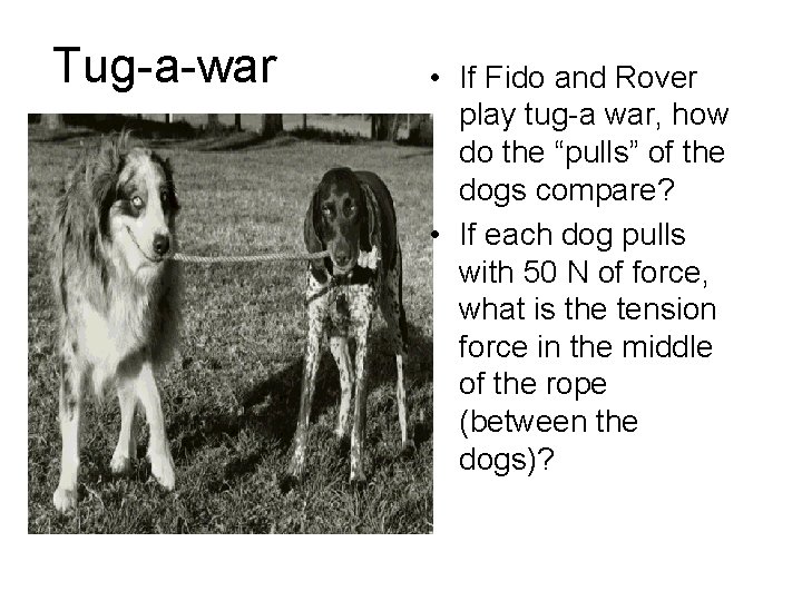 Tug-a-war • If Fido and Rover play tug-a war, how do the “pulls” of
