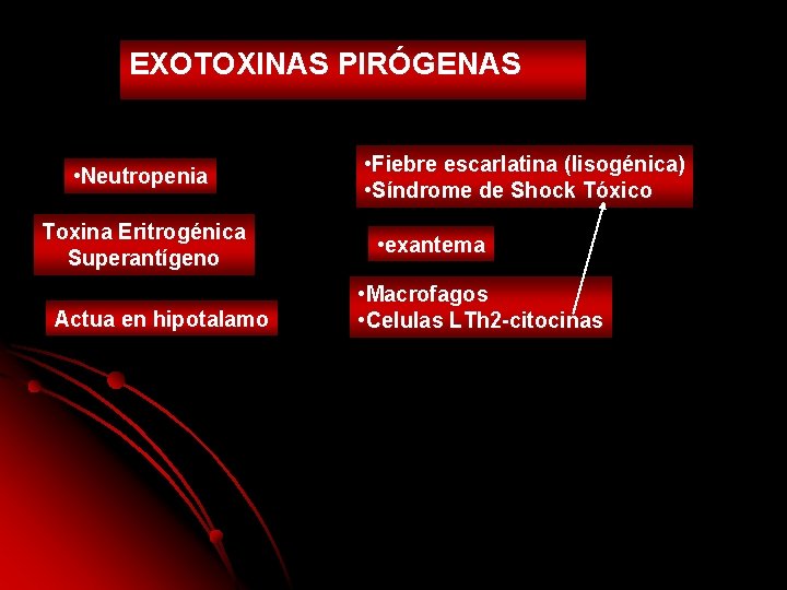 EXOTOXINAS PIRÓGENAS • Neutropenia Toxina Eritrogénica Superantígeno Actua en hipotalamo • Fiebre escarlatina (lisogénica) EXOTOXINAS PIRÓGENAS • Neutropenia Toxina Eritrogénica Superantígeno Actua en hipotalamo • Fiebre escarlatina (lisogénica)