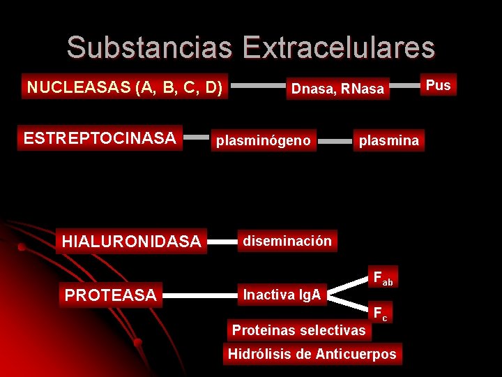 Substancias Extracelulares NUCLEASAS (A, B, C, D) ESTREPTOCINASA HIALURONIDASA PROTEASA Dnasa, RNasa plasminógeno plasmina Substancias Extracelulares NUCLEASAS (A, B, C, D) ESTREPTOCINASA HIALURONIDASA PROTEASA Dnasa, RNasa plasminógeno plasmina
