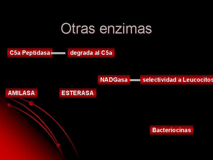 Otras enzimas C 5 a Peptidasa degrada al C 5 a NADGasa AMILASA selectividad Otras enzimas C 5 a Peptidasa degrada al C 5 a NADGasa AMILASA selectividad