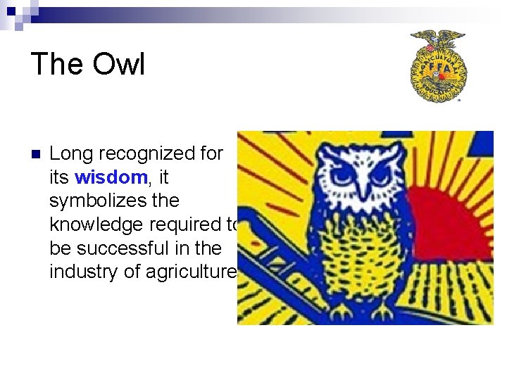 The Owl n Long recognized for its wisdom, it symbolizes the knowledge required to