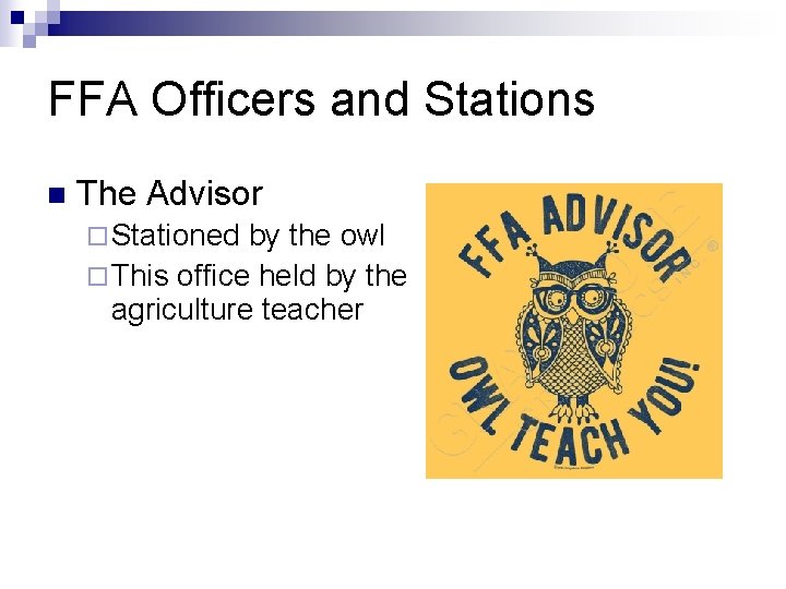 FFA Officers and Stations n The Advisor ¨ Stationed by the owl ¨ This