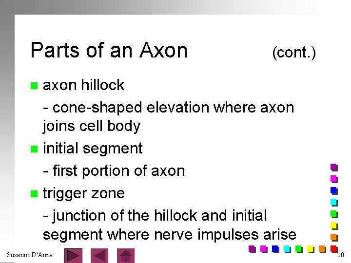 Parts of an Axon (cont. ) axon hillock - cone-shaped elevation where axon joins
