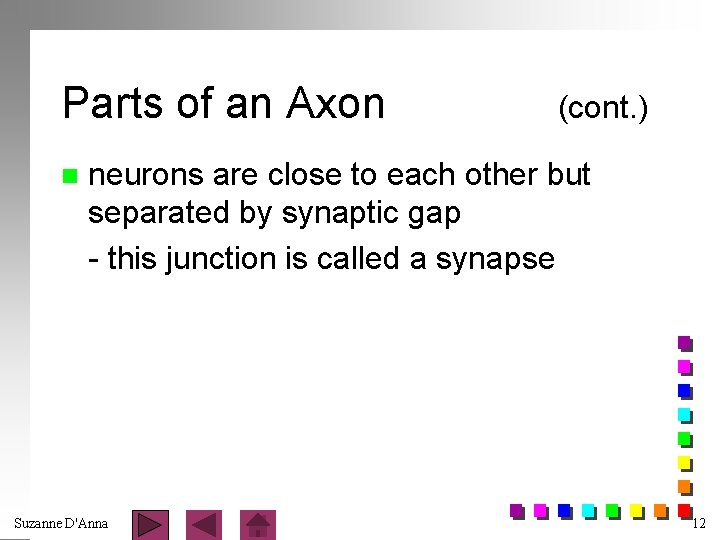 Parts of an Axon n (cont. ) neurons are close to each other but