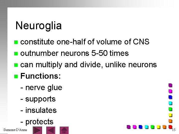 Neuroglia constitute one-half of volume of CNS n outnumber neurons 5 -50 times n