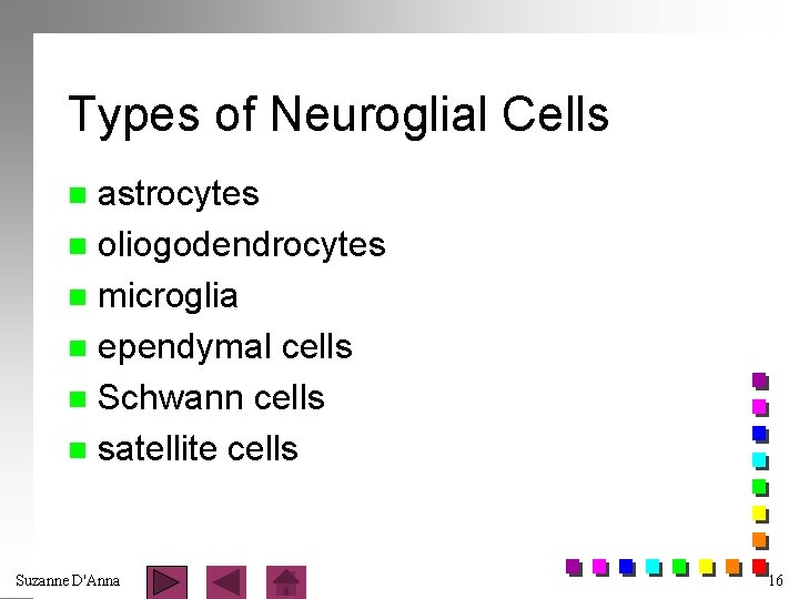 Types of Neuroglial Cells astrocytes n oliogodendrocytes n microglia n ependymal cells n Schwann