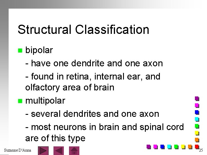 Structural Classification bipolar - have one dendrite and one axon - found in retina,