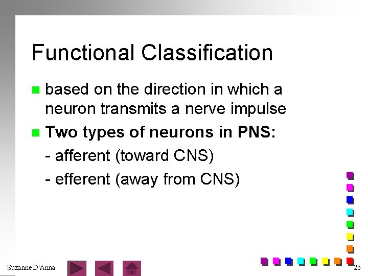 Functional Classification based on the direction in which a neuron transmits a nerve impulse