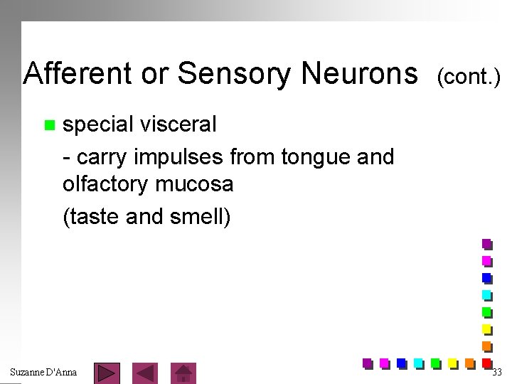 Afferent or Sensory Neurons n (cont. ) special visceral - carry impulses from tongue