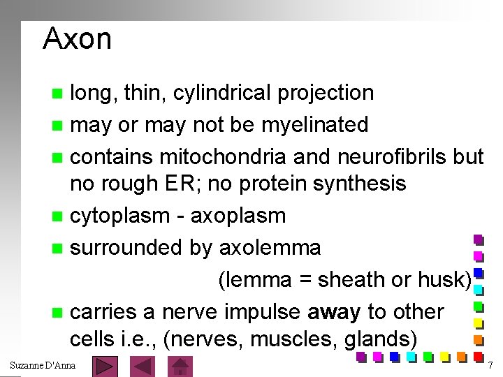 Axon long, thin, cylindrical projection n may or may not be myelinated n contains