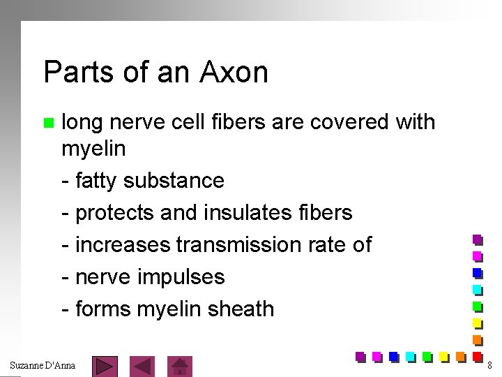 Parts of an Axon n long nerve cell fibers are covered with myelin -