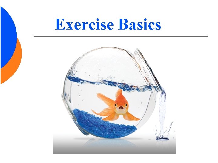 Exercise Basics 