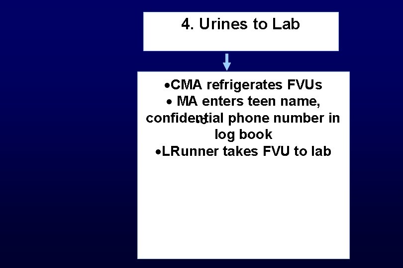 4. Urines to Lab ·CMA refrigerates FVUs · MA enters teen name, confidential phone