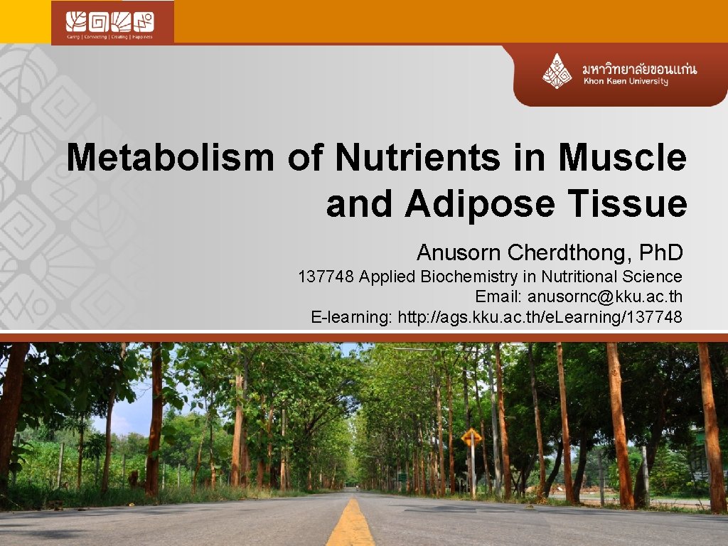 Metabolism of Nutrients in Muscle and Adipose Tissue Anusorn Cherdthong, Ph. D 137748 Applied