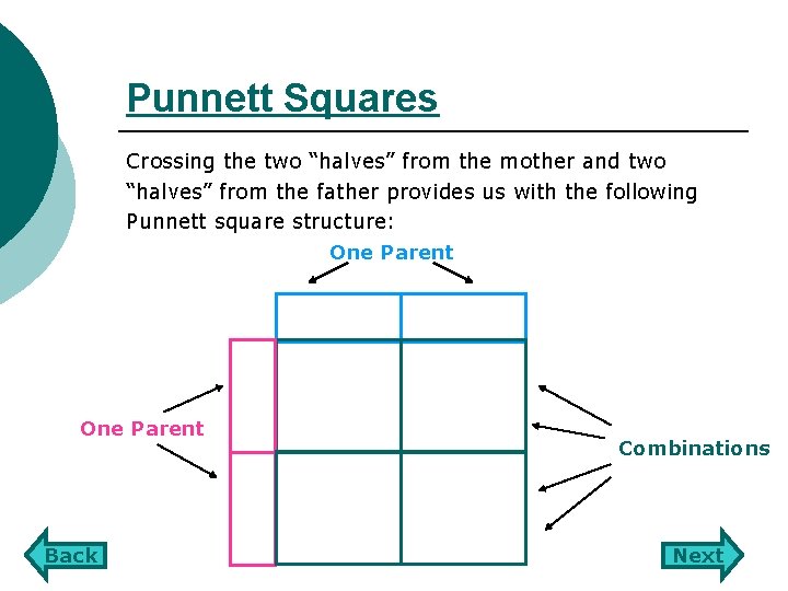 Punnett Squares Crossing the two “halves” from the mother and two “halves” from the