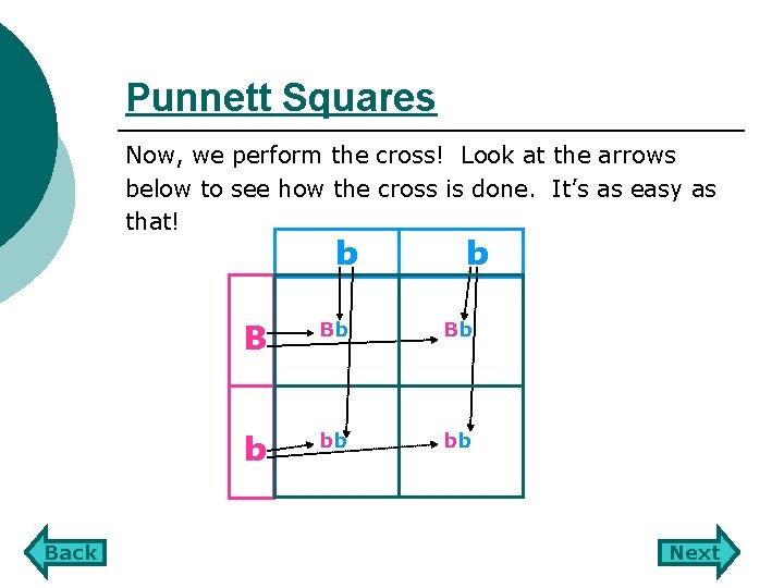 Punnett Squares Now, we perform the cross! Look at the arrows below to see